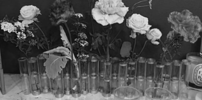 人気商品販売価格 tse&tse associees ツェツェアソシエ フラワーベース 花器 花瓶 花瓶